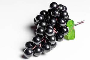 Close-up of black grapes on a white background