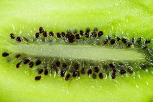Close-up of fresh kiwi pulp (Flip 2020)