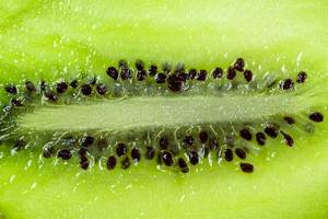 Close-up of fresh kiwi pulp