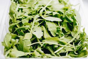 Close up of fresh rucola leaves. Close up