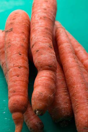 Close up of group of carrots