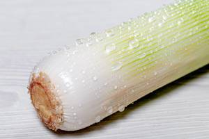 Close-up of leek with water drops (Flip 2019)
