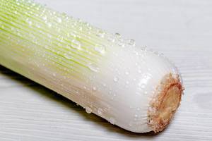Close-up of leek with water drops