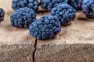 Close-up of mulberry berries on a wooden background (Flip 2020)