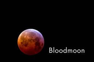 Close-up of the red moon during shadow eclipse, with picture title "Bloodmoon"