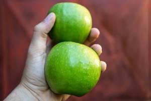 Close Up on a Mans Hand Holding Green Apples