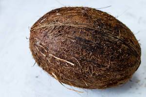 Close Up Photo of Closed Coconut