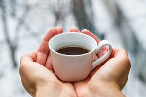 Close Up Photo of Person holding a White Cup of Coffee in both hands with blurry Winter Background
