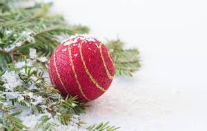 Close Up Photo of Red Decorative Christmas Ball next to Tree Branch with Artificial Snow on white Background