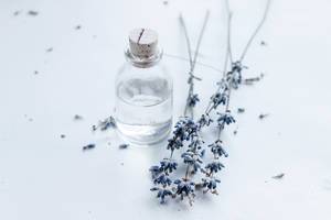 Close Up Photo of Small Glass Bottle next to Lavender on white Background