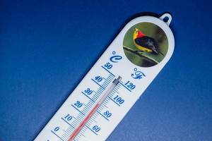 Close up shot of room thermometer on blue surface