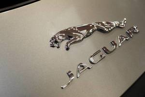Close-up von Jaguar Logo auf hellem Hintergrund