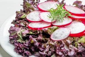 Close-up von Salatblättern mit Radieschenscheiben