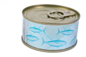 Closed Canned Fish isolated above white background