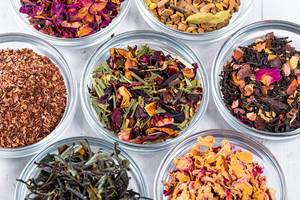 Collection of many different types of tea