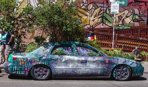 Colorful Car with Plants Inside
