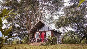 Cozy Cabin located in the woods of Salvador Benedicto
