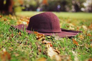 Dark brown classical hat on the grass of a park in autumn