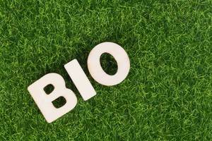 Das Wort BIO gebildet aus weißen Holzbuchstaben auf grüner Wiese