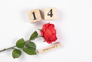Date of 14 february on wooden cubes with red rose