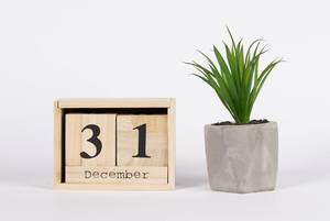 Day 31 of December set on wooden calendar with green plant