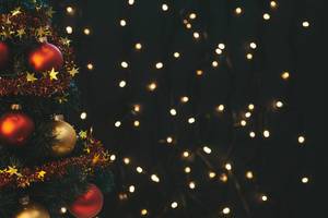 Decorated Christmas tree and luminous garland behind (Flip 2019)