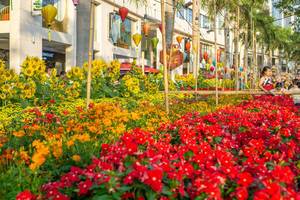 Dekoration aus Blumen und Papierlaternen in Flower Street zu Chinesischem Neujahr in Saigon, Vietnam