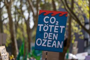 Demonstrationsplakat mit dem Titel "CO2 tötet den Ozean" ragt aus der Menschenmenge heraus
