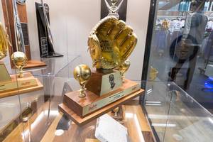 Die Auszeichnung Rawlings Gold Glove Award aus 1987 - Wrigley Field, Chicago