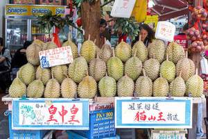 Die Kotzfrucht Durian