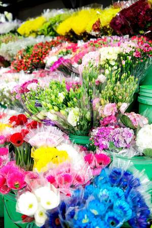 Different flower bouquets in a flower shop
