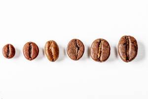 Different grains of coffee on a white background (Flip 2019)