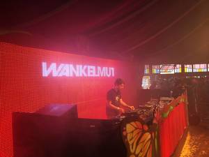 DJ Wankelmut beim Musikfestival Tomorrowland 2014 - Antwerpen, Belgien