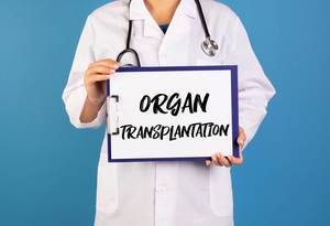 Doctor holding clipboard with Organ transplantation text