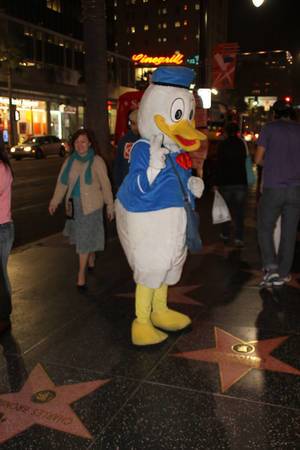 Donald Duck at Hollywood Walk Of Fame