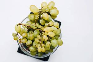 Draufsicht von Weintrauben in einer Glasschüssel vor weißem Hintergrund