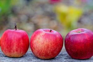 Drei rote Bio-Äpfel in der Reihe auf einem Tisch