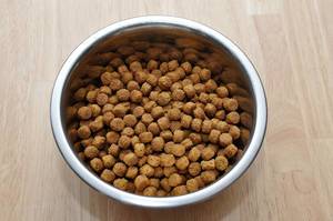 Dried Dog Food in a Bowl on a Wooden Floor