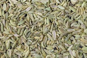 Dried fennel seeds background, top view (Flip 2020)