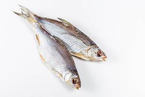 Dried salted roach fish on a white background (Flip 2020)