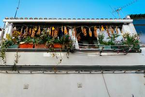 Dried vegetables on the Portugese balcony with flowers  Flip 2019