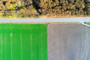 Drohneaufnahme mit Feldern, Wald und Landstraße