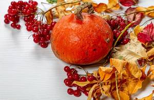 Dry autumn leaves, pumpkin and viburnum berries on white wooden background (Flip 2019)