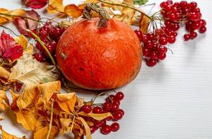 Dry autumn leaves, pumpkin and viburnum berries on white wooden background