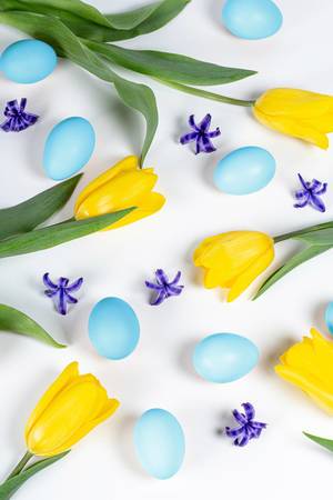 Easter background with blue eggs, yellow tulips and hyacinth flowers (Flip 2020)