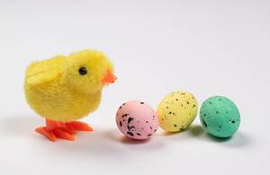 Easter chicken with colorful eggs