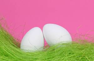 Easter eggs with green grass and pink background