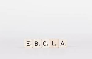 Ebola mit Holzsteinen geschrieben, vor weißem Hintergrund