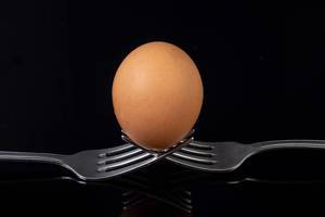 Egg sitting on the crossed forks above black background (Flip 2019)