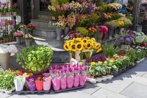 Ein Blumengeschäft in der Kärntner Straße in Wien
